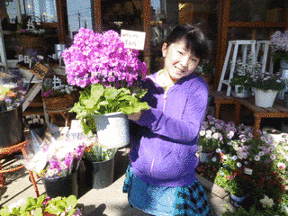 成田の花太郎の画像
