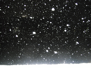 雪が降るの画像