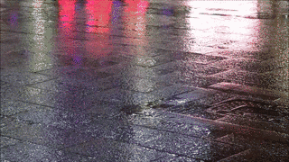 雨のロマンの画像