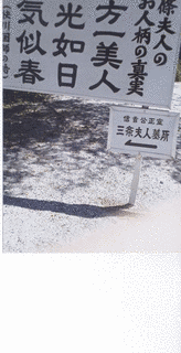 花と炎/人生一路の画像