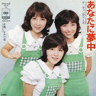 あなたに夢中の画像