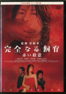 伊東美華の画像