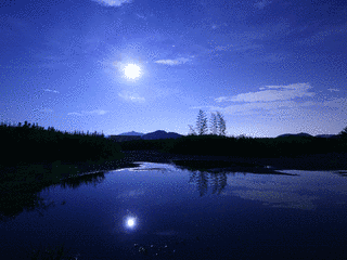 五木ひろしの楽曲の画像