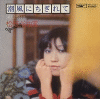潮風にちぎれての画像