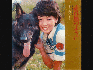 走れ風のようにの画像