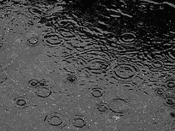 雨…の画像