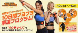 シャドー・ボクサーの画像