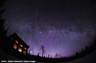 星降る夜に…の画像