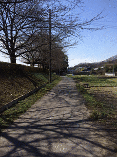別れた故郷の画像