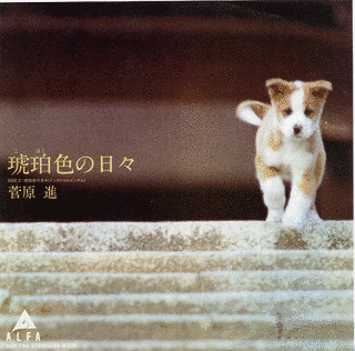 琥珀色の日々の画像