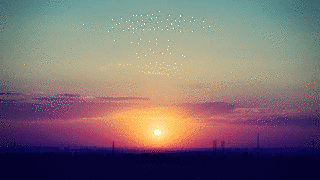SUNSET SUMMERの画像