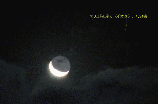 十六夜だよりの画像