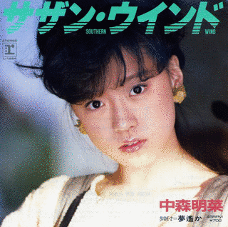 サザン・ウインドの画像