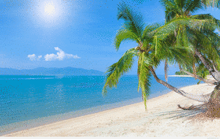 SUMMER BEACHの画像