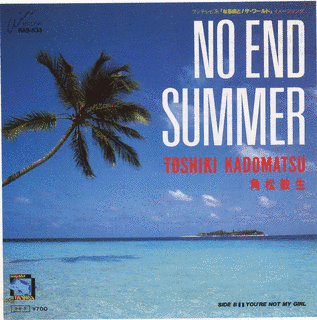 NO END SUMMERの画像
