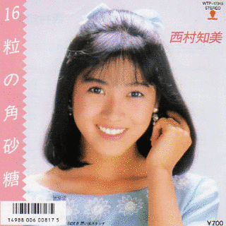 16粒の角砂糖の画像