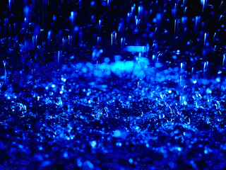 BLUE RAINの画像