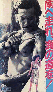 南へ走れの画像
