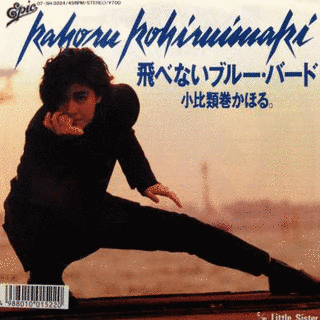 飛べないブルー・バードの画像