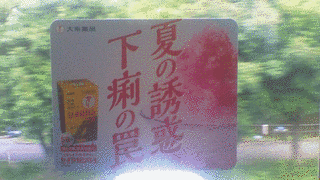 夏の誘惑の画像