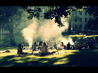 SUMMER CITYの画像