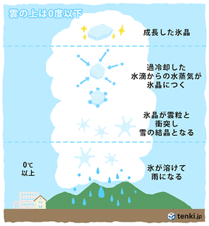 雨都物語の画像