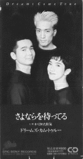 さよならを待ってるの画像