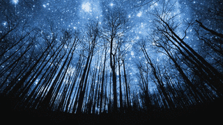 SHINING IN THE NIGHTの画像