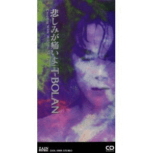 悲しみが痛いよの画像