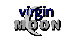 VIRGIN MOONの画像