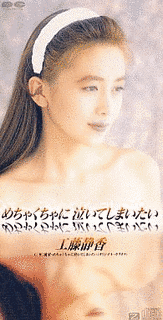 めちゃくちゃに泣いてしまいたいの画像