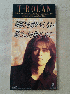 刹那さを消せやしない/傷だらけを抱きしめての画像