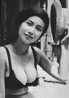 桂奈美の画像