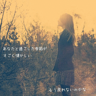 もう 戻らないの画像