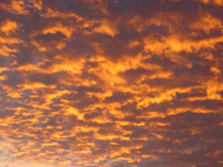 ORANGE VIEWの画像