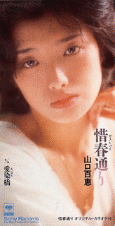 惜春通りの画像