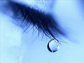 BLUE TEARSの画像