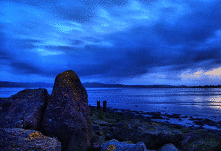 BLUE VIEWの画像