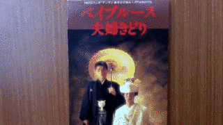 夫婦きどりの画像