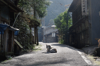 山に抱かれての画像