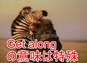 GET ALONGの画像