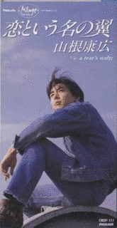 恋という名の翼の画像