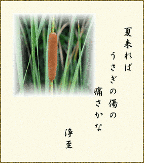 夏の憂鬱の画像