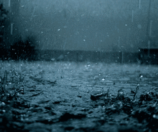 RAINY NIGHTの画像