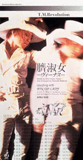 臍淑女 -ヴィーナス-の画像