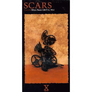 SCARSの画像