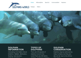 DOLPHINS' WORLDの画像