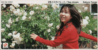 2色だけのパレット/DAY DREAMの画像