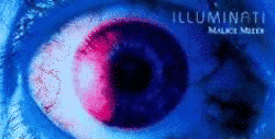 ILLUMINATI ［P-TYPE］の画像