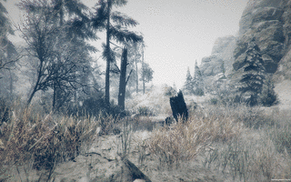 WINTER FALLの画像